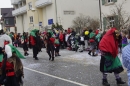 Rosenmontagsumzug-Gottmadingen-11022013-Bodensee-Community-SEECHAT_DE-_17.jpg