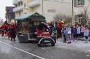 Rosenmontagsumzug-Gottmadingen-11022013-Bodensee-Community-SEECHAT_DE-_19.jpg