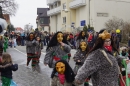 Rosenmontagsumzug-Gottmadingen-11022013-Bodensee-Community-SEECHAT_DE-_22.jpg
