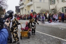 Rosenmontagsumzug-Gottmadingen-11022013-Bodensee-Community-SEECHAT_DE-_27.jpg