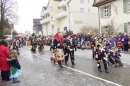 Rosenmontagsumzug-Gottmadingen-11022013-Bodensee-Community-SEECHAT_DE-_28.jpg