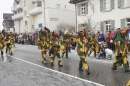 Rosenmontagsumzug-Gottmadingen-11022013-Bodensee-Community-SEECHAT_DE-_35.jpg