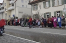 Rosenmontagsumzug-Gottmadingen-11022013-Bodensee-Community-SEECHAT_DE-_38.jpg