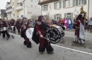 Rosenmontagsumzug-Gottmadingen-11022013-Bodensee-Community-SEECHAT_DE-_44.jpg