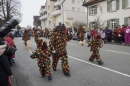 Rosenmontagsumzug-Gottmadingen-11022013-Bodensee-Community-SEECHAT_DE-_55.jpg