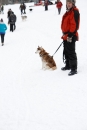 Schlittenhunderennen-Todtmoos-24022013-Bodensee-Community-Seechat_10.JPG