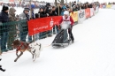 Schlittenhunderennen-Todtmoos-24022013-Bodensee-Community-Seechat_102.JPG