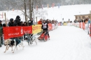 Schlittenhunderennen-Todtmoos-24022013-Bodensee-Community-Seechat_106.JPG