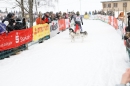 Schlittenhunderennen-Todtmoos-24022013-Bodensee-Community-Seechat_109.JPG