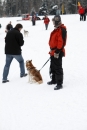 Schlittenhunderennen-Todtmoos-24022013-Bodensee-Community-Seechat_11.JPG