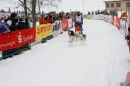 Schlittenhunderennen-Todtmoos-24022013-Bodensee-Community-Seechat_110.JPG