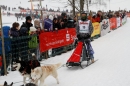 Schlittenhunderennen-Todtmoos-24022013-Bodensee-Community-Seechat_112.JPG