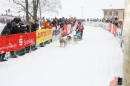 Schlittenhunderennen-Todtmoos-24022013-Bodensee-Community-Seechat_114.JPG