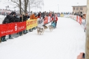 Schlittenhunderennen-Todtmoos-24022013-Bodensee-Community-Seechat_115.JPG