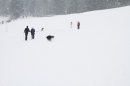 Schlittenhunderennen-Todtmoos-24022013-Bodensee-Community-Seechat_128.JPG