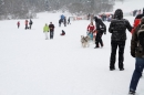 Schlittenhunderennen-Todtmoos-24022013-Bodensee-Community-Seechat_130.JPG