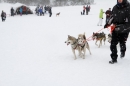 Schlittenhunderennen-Todtmoos-24022013-Bodensee-Community-Seechat_131.JPG