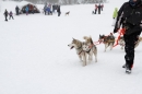 Schlittenhunderennen-Todtmoos-24022013-Bodensee-Community-Seechat_132.JPG