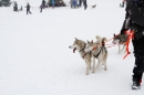 Schlittenhunderennen-Todtmoos-24022013-Bodensee-Community-Seechat_134.JPG
