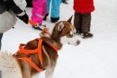 Schlittenhunderennen-Todtmoos-24022013-Bodensee-Community-Seechat_15.JPG