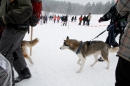 Schlittenhunderennen-Todtmoos-24022013-Bodensee-Community-Seechat_150.JPG