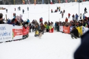 Schlittenhunderennen-Todtmoos-24022013-Bodensee-Community-Seechat_22.JPG
