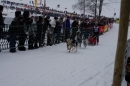 Schlittenhunderennen-Todtmoos-24022013-Bodensee-Community-Seechat_251.JPG