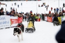 Schlittenhunderennen-Todtmoos-24022013-Bodensee-Community-Seechat_26.JPG