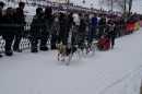 Schlittenhunderennen-Todtmoos-24022013-Bodensee-Community-Seechat_261.JPG