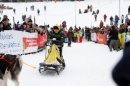 Schlittenhunderennen-Todtmoos-24022013-Bodensee-Community-Seechat_27.JPG