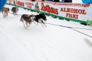 Schlittenhunderennen-Todtmoos-24022013-Bodensee-Community-Seechat_3.JPG