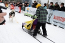 Schlittenhunderennen-Todtmoos-24022013-Bodensee-Community-Seechat_31.JPG