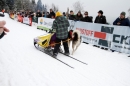 Schlittenhunderennen-Todtmoos-24022013-Bodensee-Community-Seechat_33.JPG