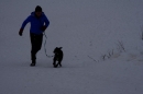 Schlittenhunderennen-Todtmoos-24022013-Bodensee-Community-Seechat_331.JPG