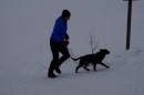 Schlittenhunderennen-Todtmoos-24022013-Bodensee-Community-Seechat_341.JPG