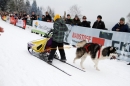 Schlittenhunderennen-Todtmoos-24022013-Bodensee-Community-Seechat_36.JPG