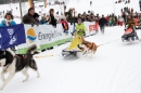 Schlittenhunderennen-Todtmoos-24022013-Bodensee-Community-Seechat_54.JPG