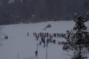 Schlittenhunderennen-Todtmoos-24022013-Bodensee-Community-Seechat_541.JPG