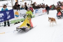 Schlittenhunderennen-Todtmoos-24022013-Bodensee-Community-Seechat_55.JPG