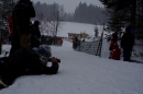 Schlittenhunderennen-Todtmoos-24022013-Bodensee-Community-Seechat_571.JPG