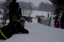 Schlittenhunderennen-Todtmoos-24022013-Bodensee-Community-Seechat_591.JPG