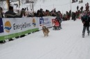 Schlittenhunderennen-Todtmoos-24022013-Bodensee-Community-Seechat_60.JPG