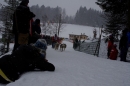 Schlittenhunderennen-Todtmoos-24022013-Bodensee-Community-Seechat_601.JPG