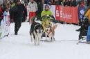 Schlittenhunderennen-Todtmoos-24022013-Bodensee-Community-seechat_de-IMG_3162.JPG