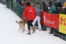 Schlittenhunderennen-Todtmoos-24022013-Bodensee-Community-seechat_de-IMG_3188.JPG