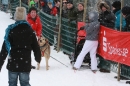 Schlittenhunderennen-Todtmoos-24022013-Bodensee-Community-seechat_de-IMG_3189.JPG