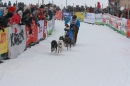 Schlittenhunderennen-Todtmoos-24022013-Bodensee-Community-seechat_de-IMG_3215.JPG