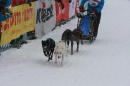 Schlittenhunderennen-Todtmoos-24022013-Bodensee-Community-seechat_de-IMG_3216.JPG