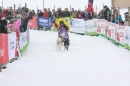 Schlittenhunderennen-Todtmoos-24022013-Bodensee-Community-seechat_de-IMG_3226.JPG