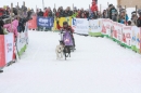 Schlittenhunderennen-Todtmoos-24022013-Bodensee-Community-seechat_de-IMG_3227.JPG